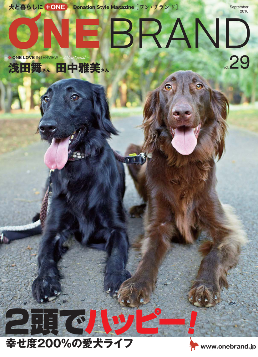 ONE BRAND vol.29