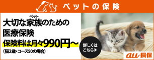 au損保