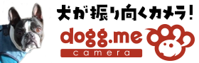 dogg.me camera