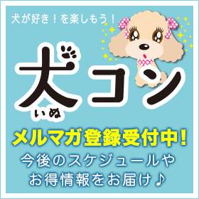 メルマガ登録
