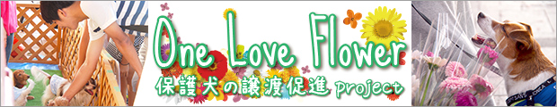 One Love Flower