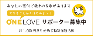 OLサポーター