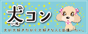 犬コン