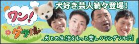 よしもとワン！ダフル