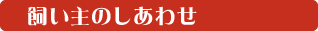 Corporate Mission