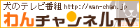 わんチャンネルTV