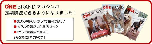 ONE BRANDマガジンが定期購読できるようになりました！
