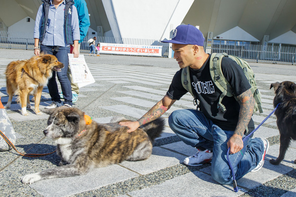 One Loveウォーク13 In Tokyo 開催リポート 犬と暮らしに One Onebrand