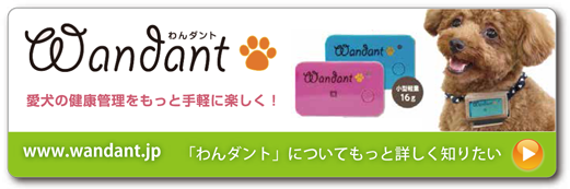 詳しく