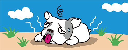 詳しく