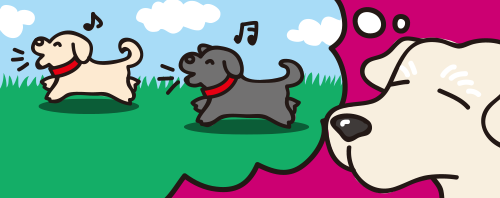 詳しく