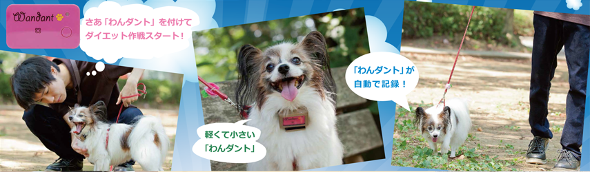 詳しく