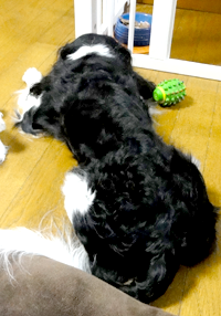 詳しく