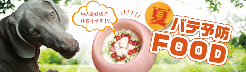 詳しく