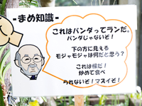 詳しく
