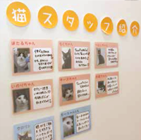 詳しく