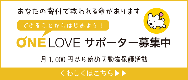 ONELOVEサポーター募集