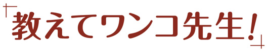 教えてワンコ先生！