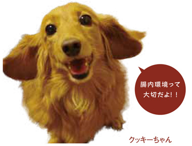 犬