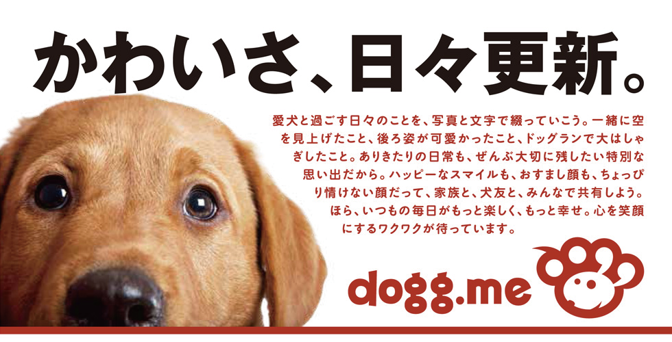 かわいさ、日々更新