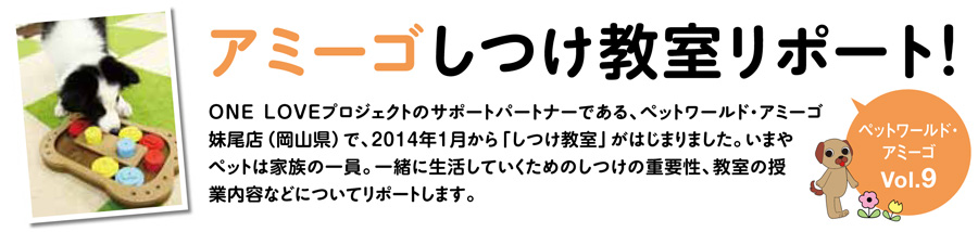 アミーゴしつけ教室リポート！
