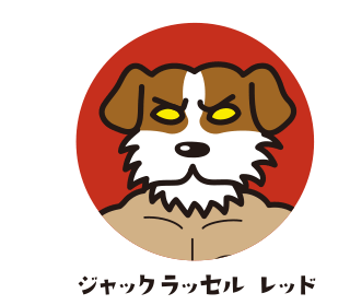 ジャックラッセル　レッド